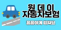 원데이자동차보험