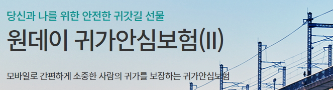 원데이 귀가안심보험 하나손해보험